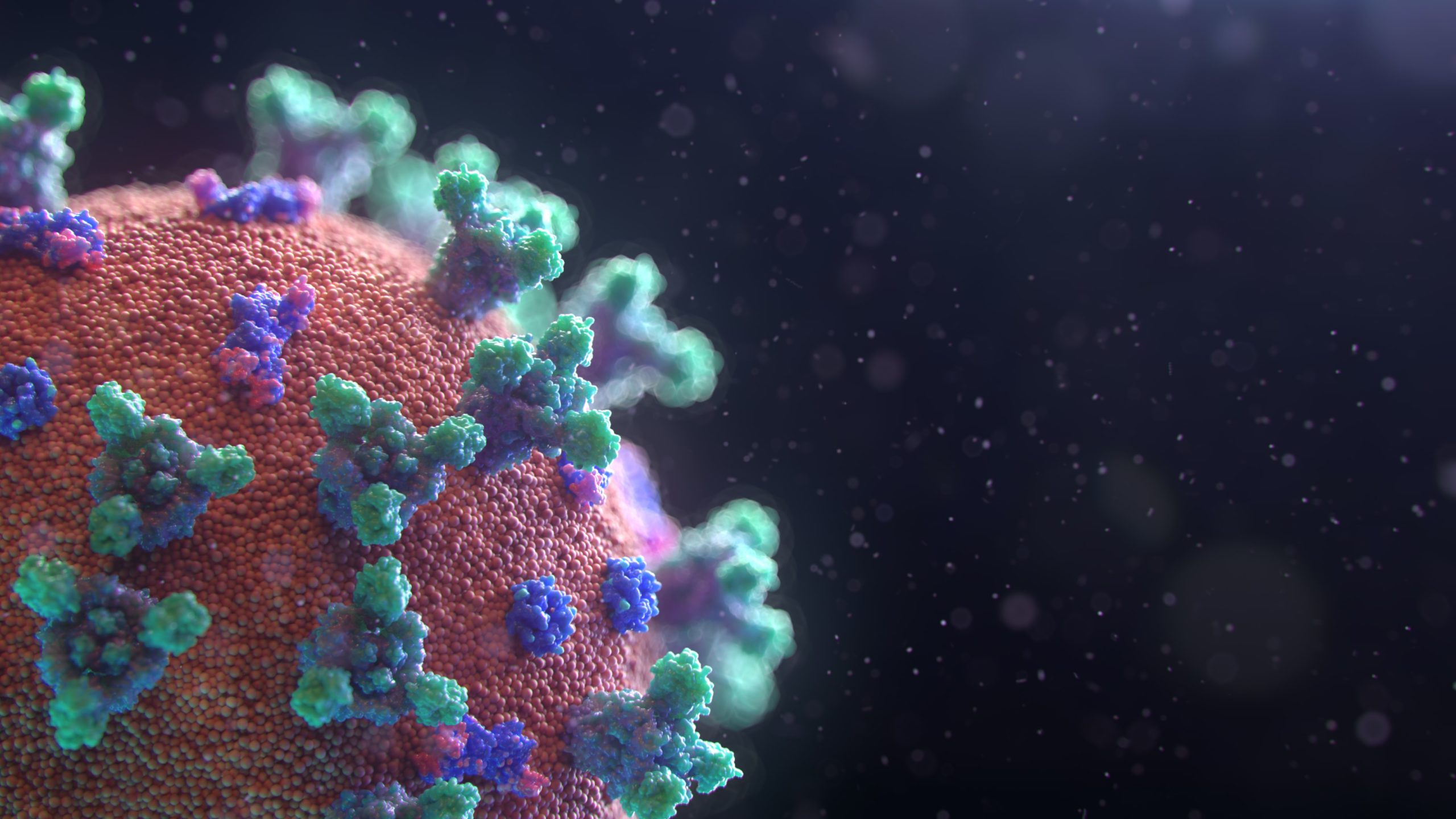 Covid-19 virus