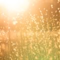 OSR publishes latest insights into the Statistics System